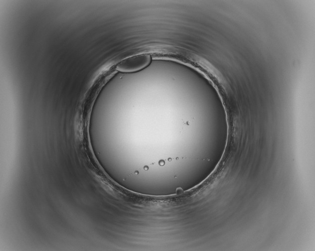 X0000115551067200911131559