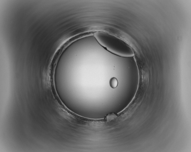 X0000115551068200911131559