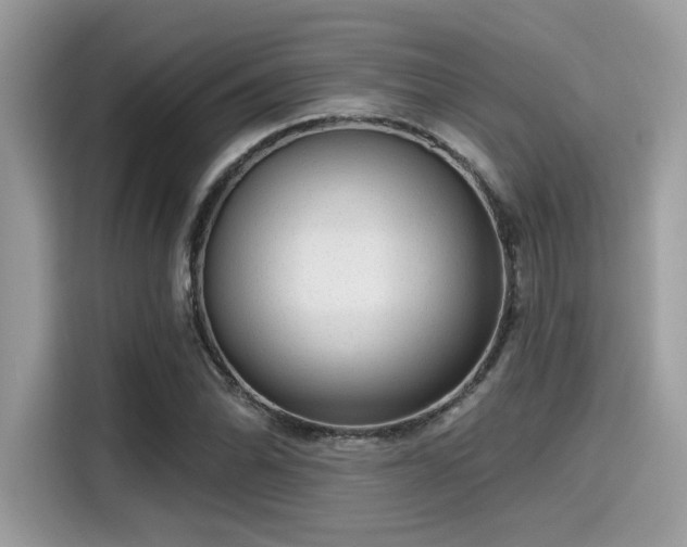 X0000115551070200911131559