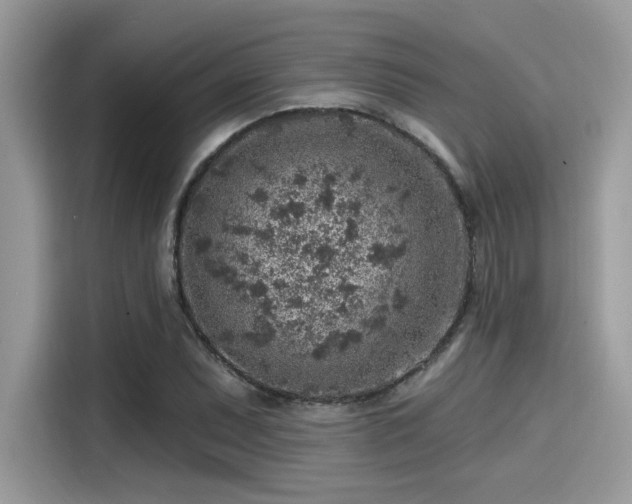 X0000115551071200911131559