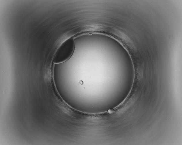 X0000115551073200911131559