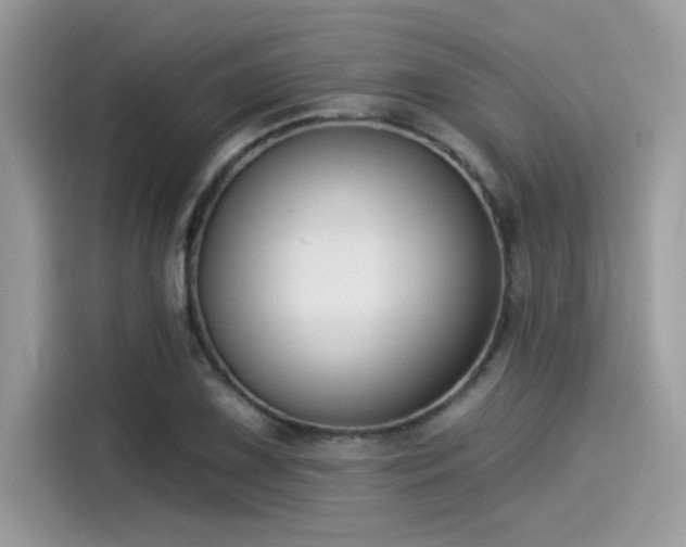 X0000115551075200911131559