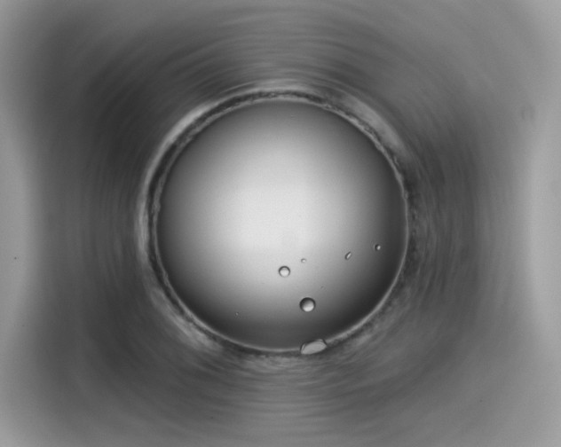 X0000115551076200911131559