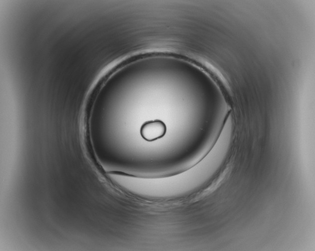 X0000115551077200911131559