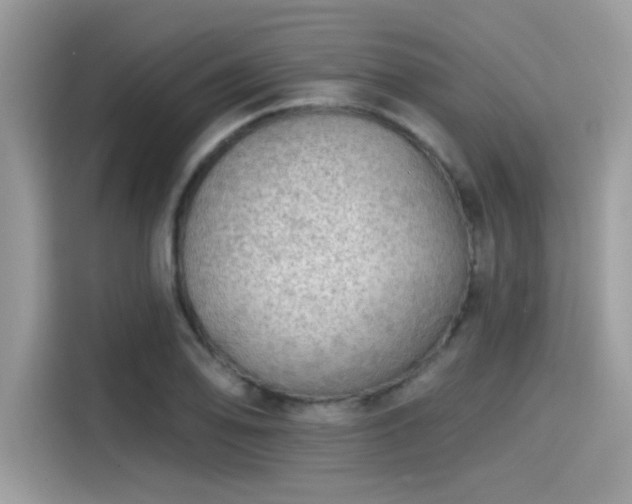 X0000115551078200911131559