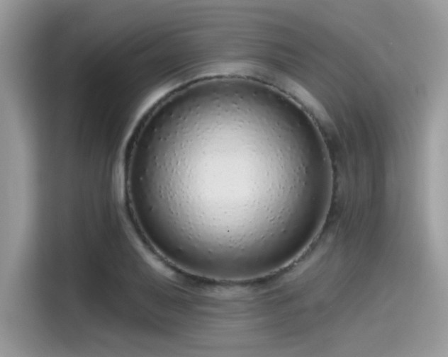 X0000115551079200911131559