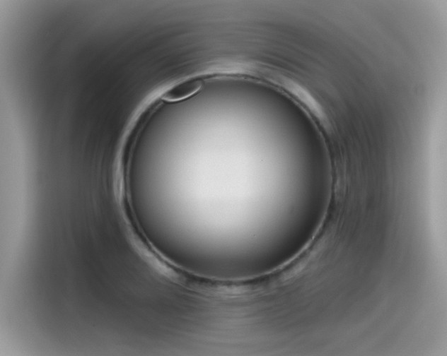 X0000115551080200911131559