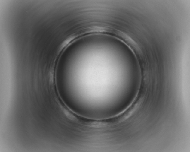 X0000115551081200911131559