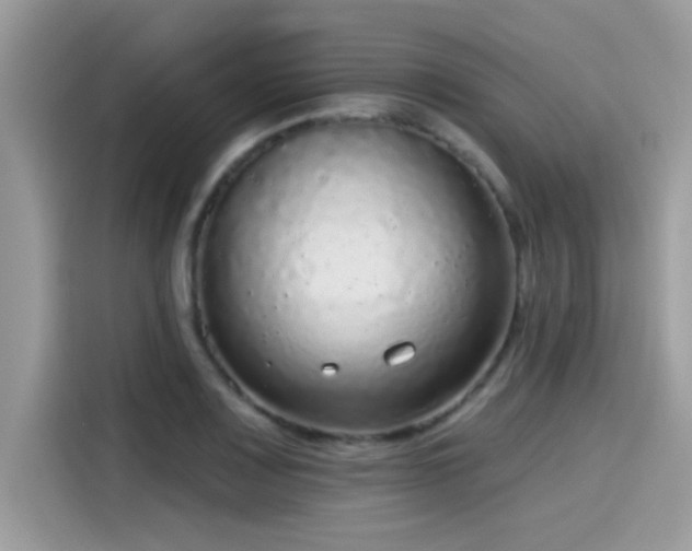 X0000115551083200911131559