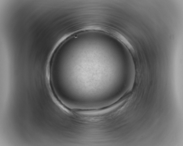 X0000115551084200911131559