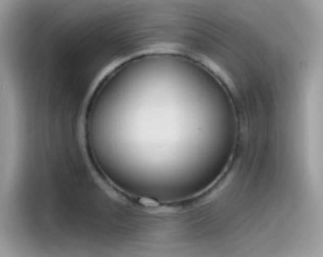 X0000115551085200911131559