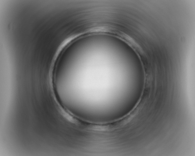 X0000115551086200911131559