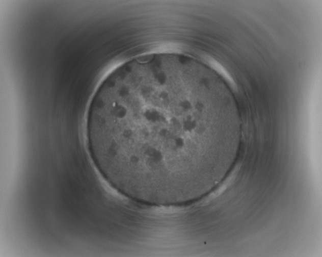 X0000115551087200911131559