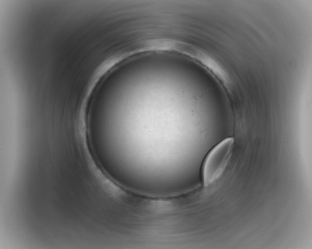 X0000115551088200911131559