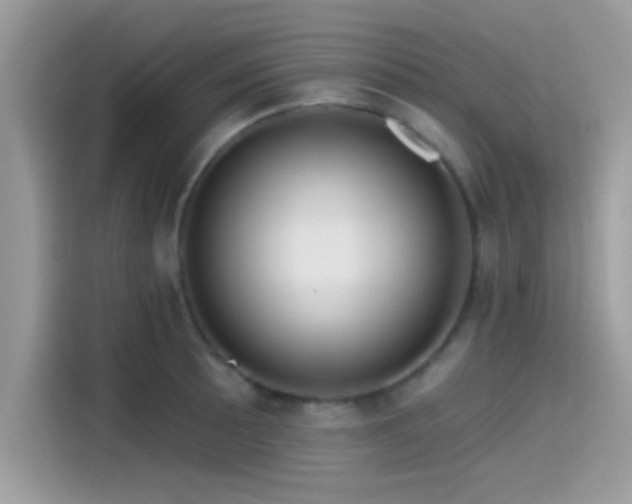 X0000115551089200911131559