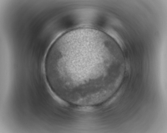 X0000115551090200911131559