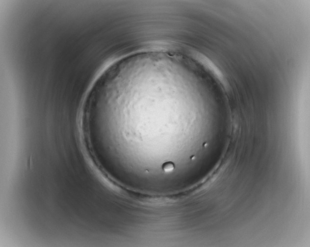 X0000115551091200911131559