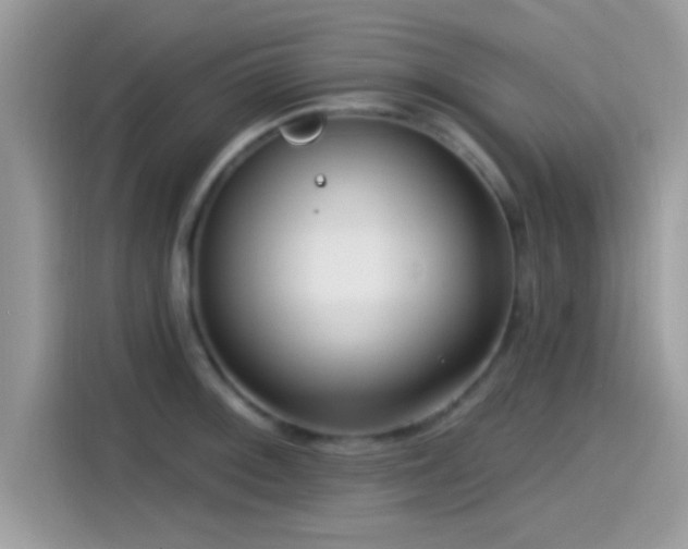 X0000115551092200911131559