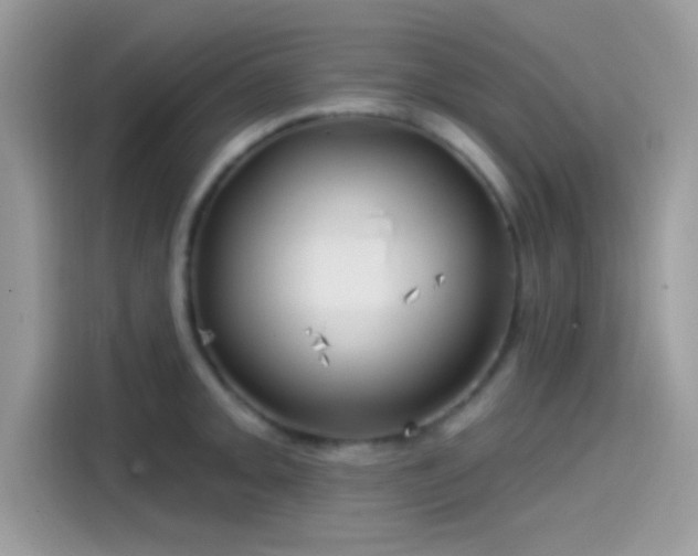 X0000115551093200911131559