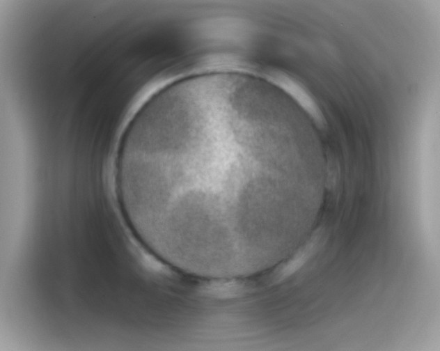 X0000115551094200911131559