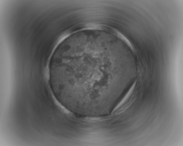 X0000115551095200911131559