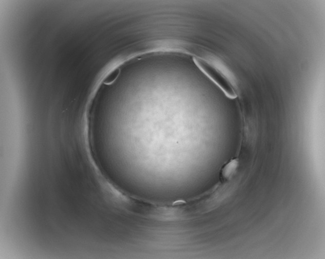 X0000115551096200911131559