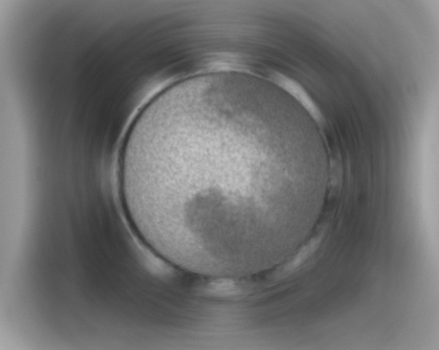 X0000115551098200911131559