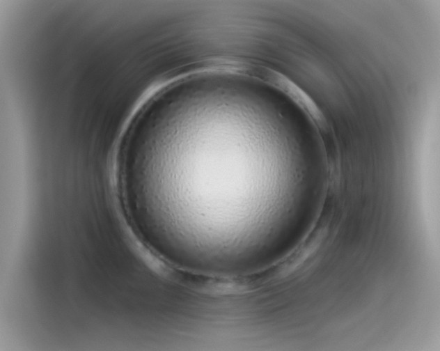 X0000115551099200911131559