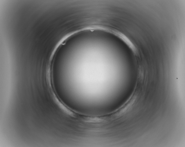 X0000115551100200911131559