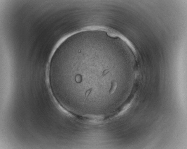 X0000115551102200911131559