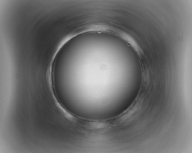 X0000115551103200911131559