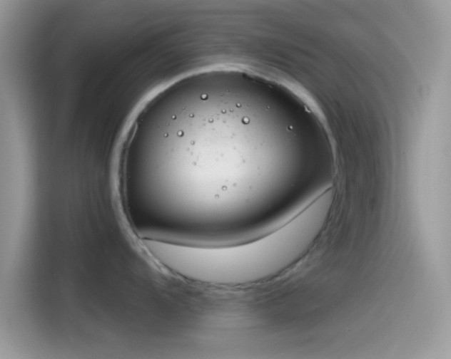 X0000115551104200911131559