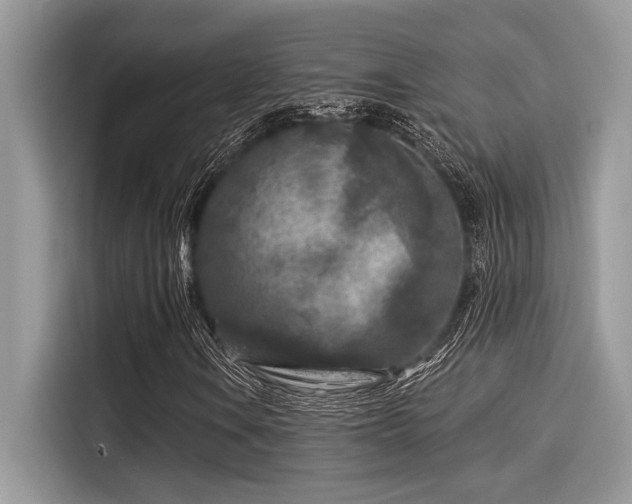 X0000115551106200911131558