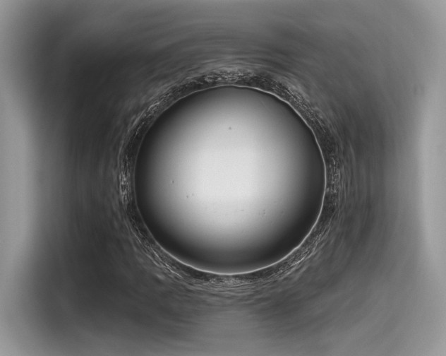 X0000115551109200911131558