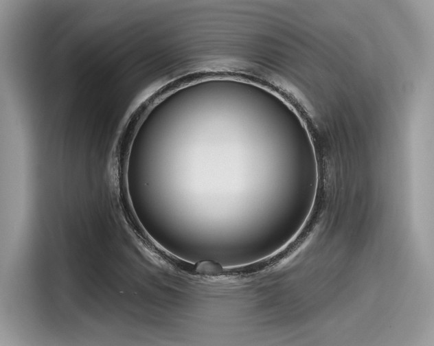 X0000115551114200911131558