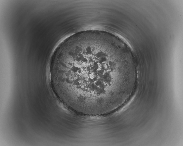 X0000115551117200911131558