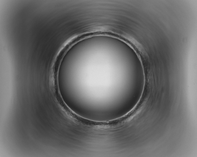 X0000115551118200911131559