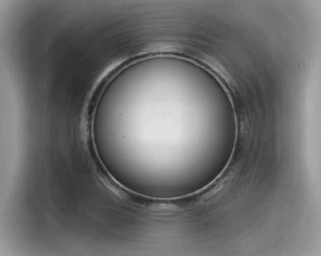 X0000115551119200911131559