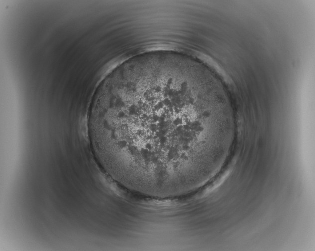 X0000115551121200911131559