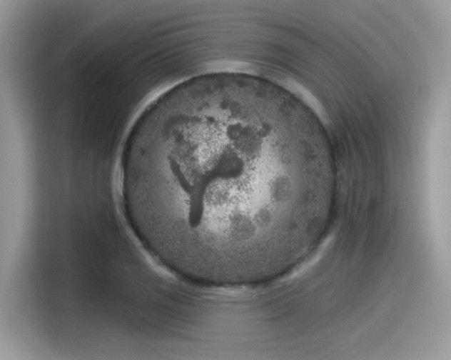 X0000115551125200911131559