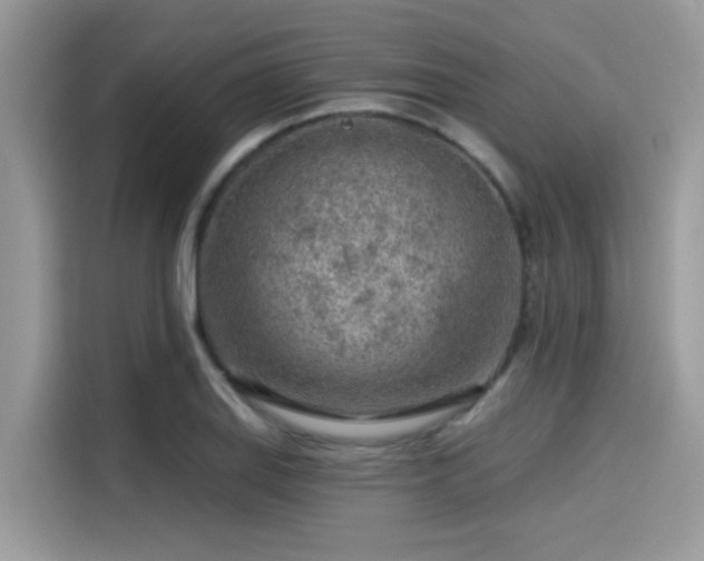 X0000115551127200911131559