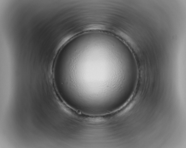 X0000115551129200911131559