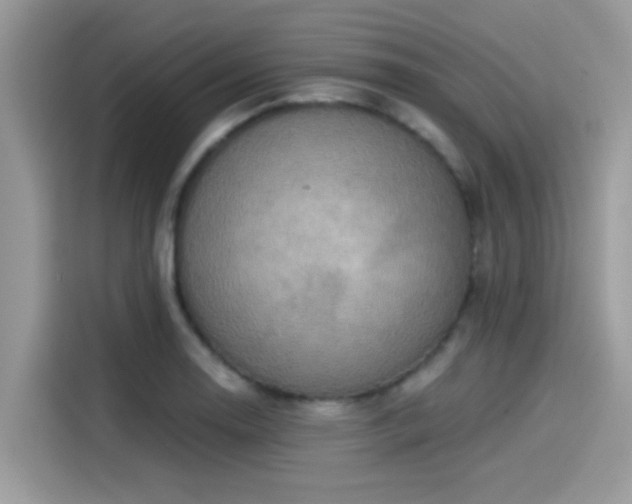 X0000115551130200911131559