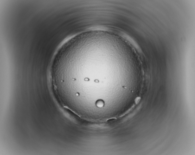 X0000115551133200911131559