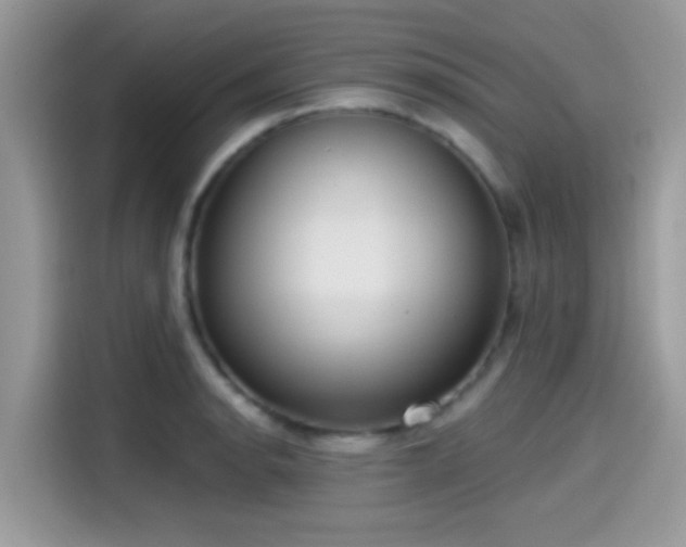 X0000115551134200911131559