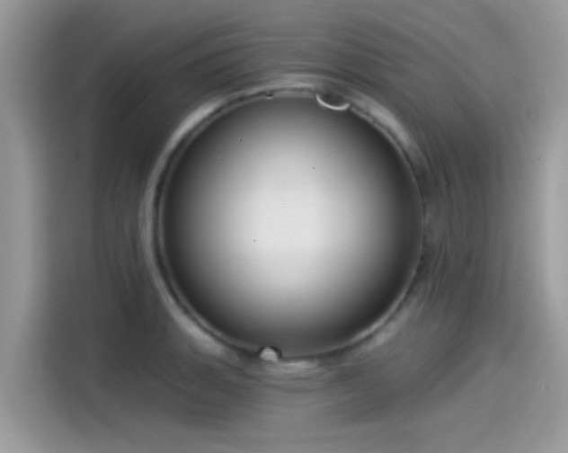 X0000115551135200911131559