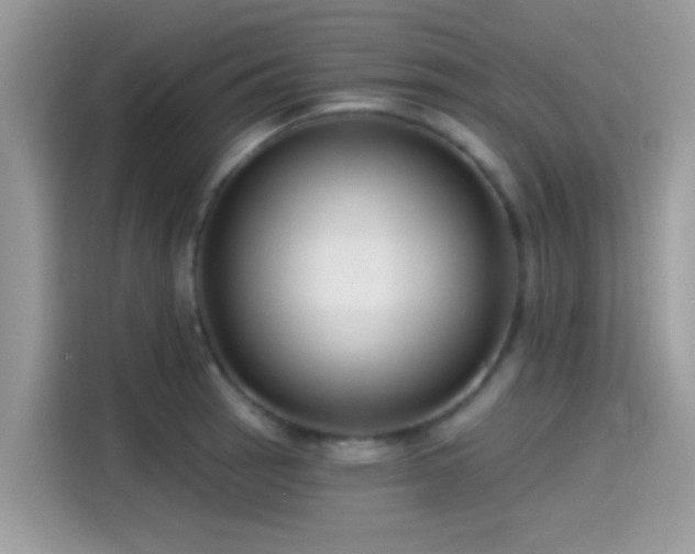 X0000115551137200911131559