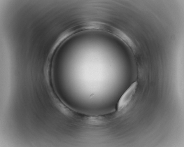 X0000115551138200911131559