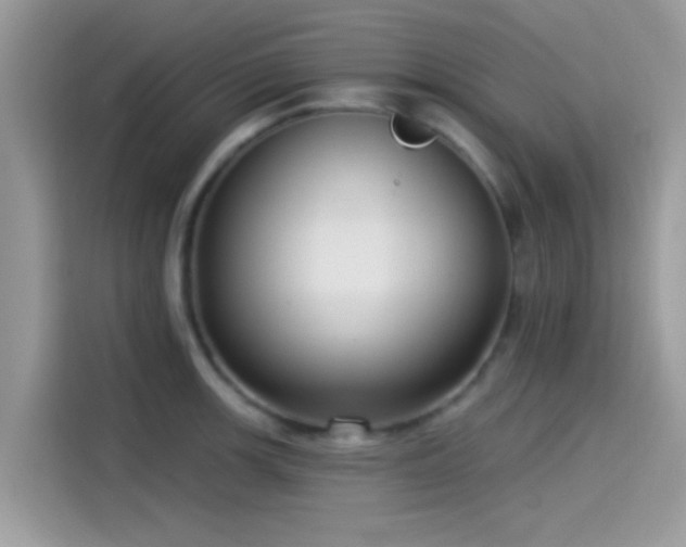 X0000115551139200911131559