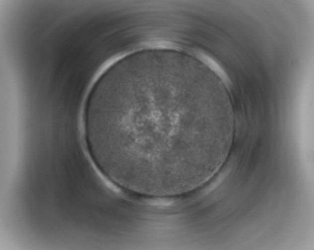 X0000115551141200911131559